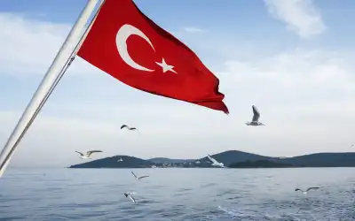 بإمكانك ضبطها ومحاصرتها.. لكن.. هذه فوائد