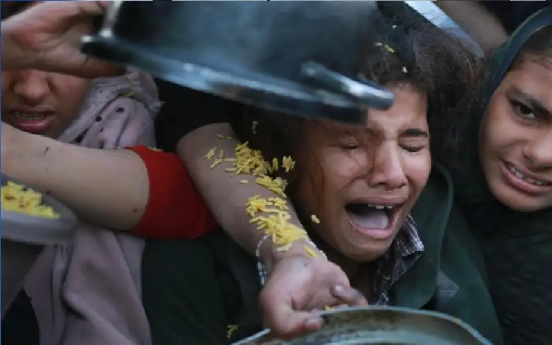 المجاعة تتفاقم في غزة