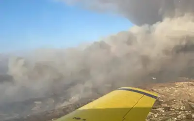 الحنيفات يبحث التعاون الزراعي بين الأردن