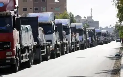 فوائد الخولنجان بحسب ما أثبتته الدراسات