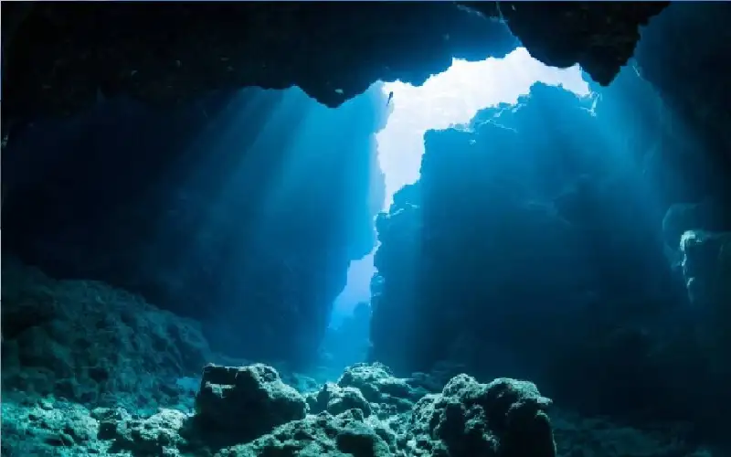 اكتشاف عملاق غريب على عمق 6