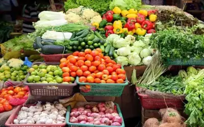 شطحات خيالي في إرهاب جديد جدا