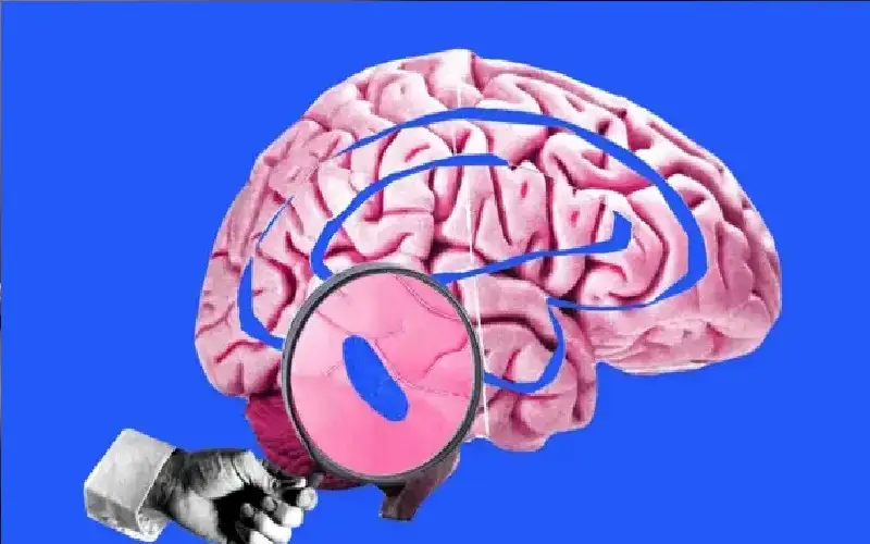 دراسة رائدة تكشف عن السبب الذي