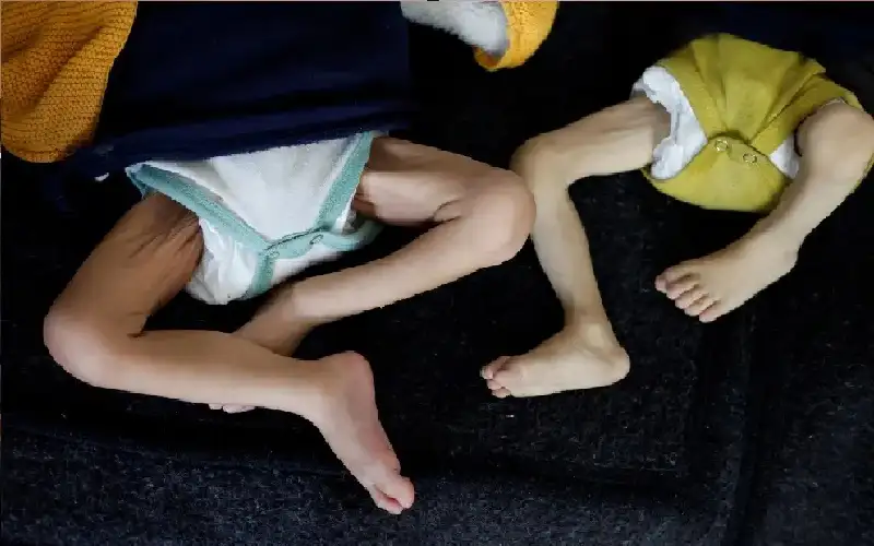 الأغذية العالمي يستغيث في غزة