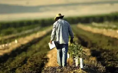 حملة ترامب ضد المهاجرين تعصف بالأمن