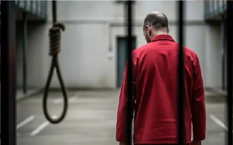 رسائل كاذبة وجثث في الخرسانة.. القضاء