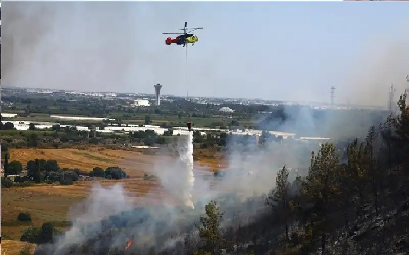 حرائق الغابات تقترب من رابع أكبر