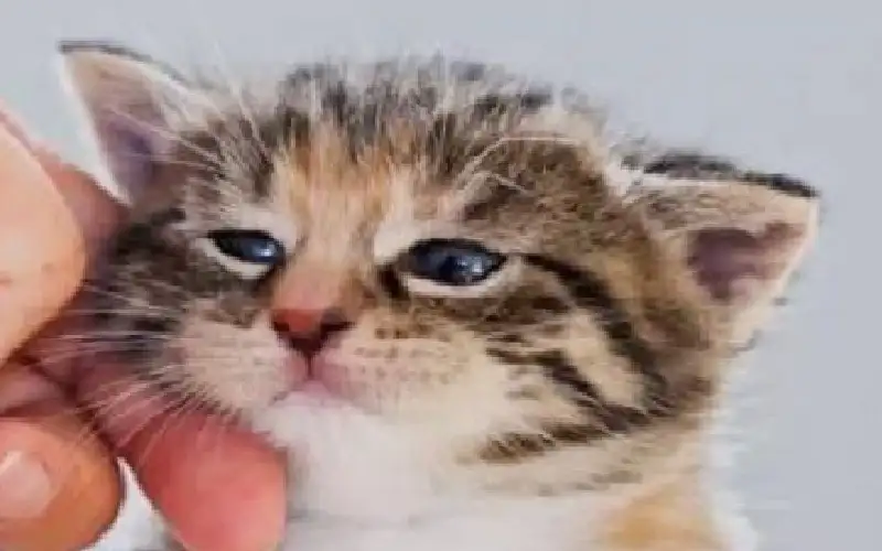 تحذير طبي: مخاطر خفية خطيرة من