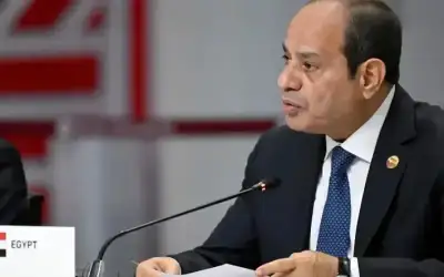 السيسي: دخول المساعدات يحتاج إلى تنسيق