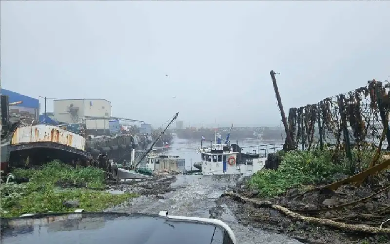 هل تتأثر كوريا الجنوبية بزلزال كامتشاتكا