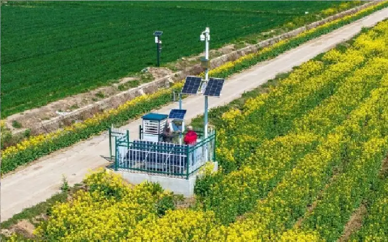 الصين تعزز استخدام الذكاء الاصطناعي في