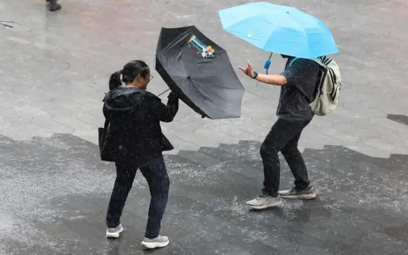 وزارة الخارجية: الأردنيين في الصين بخير