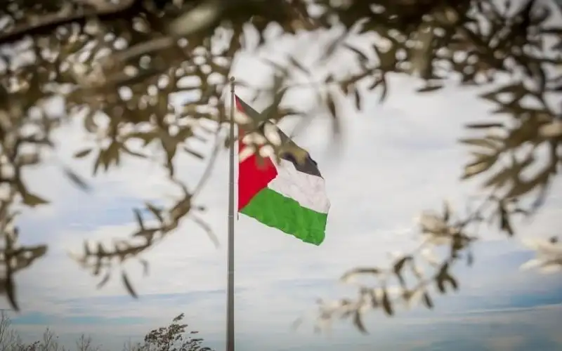البرتغال تعتزم الاعتراف بدولة فلسطين في