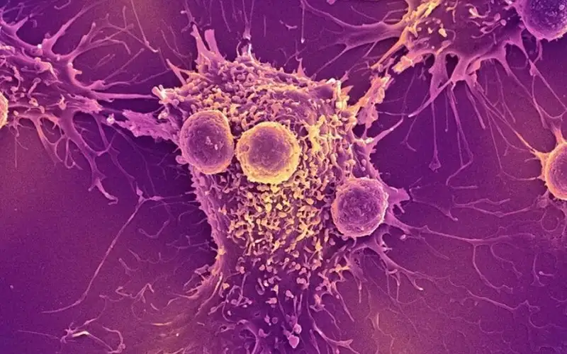 فيروس لا يصيب البشر يحول جهاز