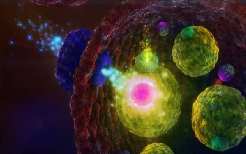 خلايا اصطناعية متوهجة تحاكي إيقاع الساعة