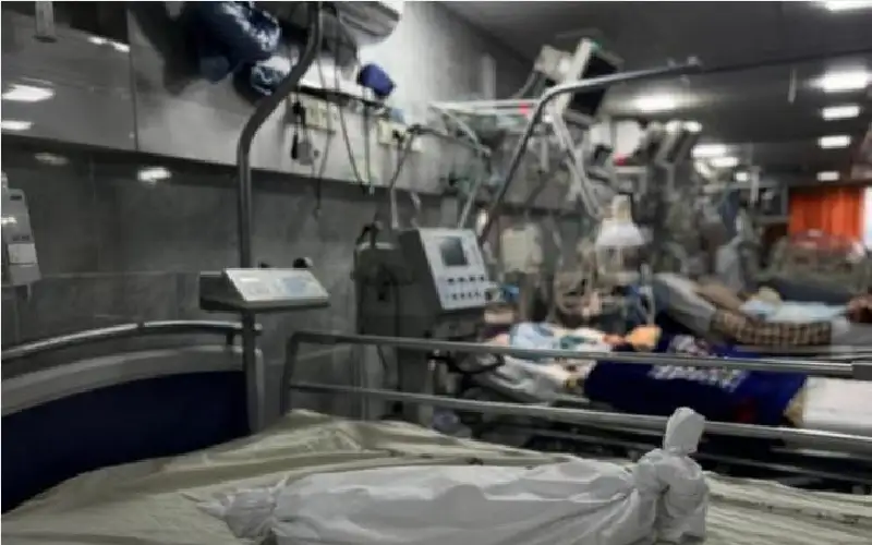 بينهم رضيع.. 4 شهداء نتيجة التجويع