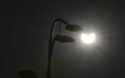 9 دول عربية على موعد مع