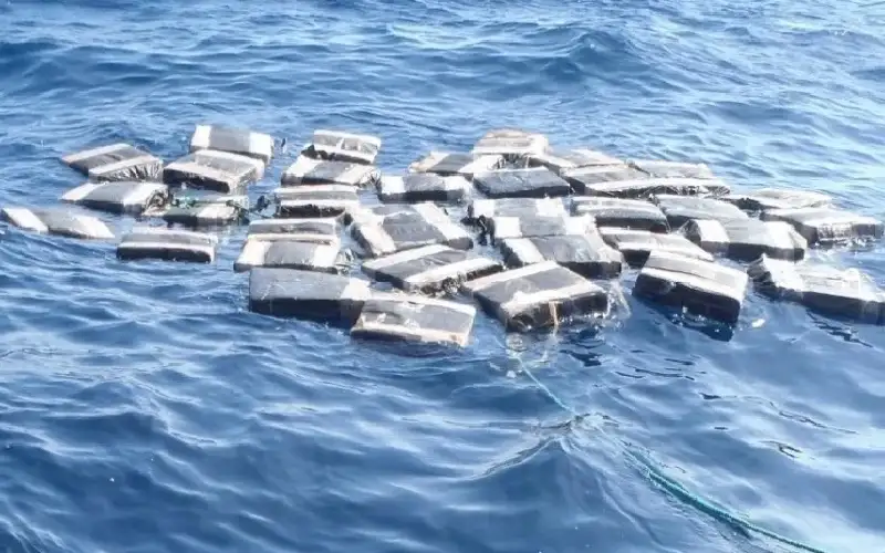 أمريكي يعثر على 22 كيلو كوكايين