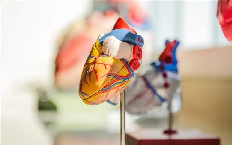 7 أسباب لارتفاع الدهون الثلاثية وانخفاض