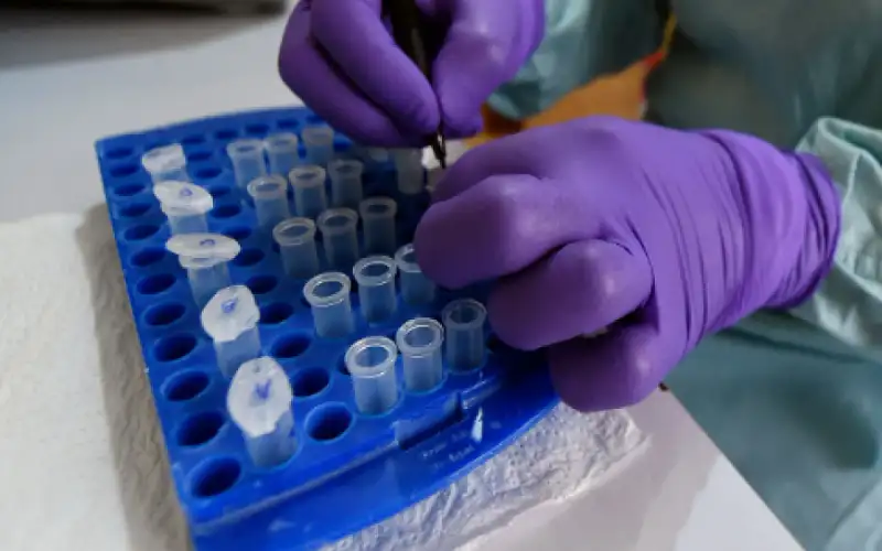 غزة تواجه خطرا صحيا جديدا: ثلاث