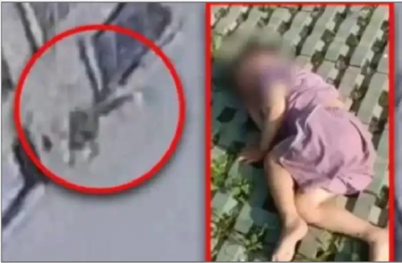 طفل صيني ينجو من السقوط من