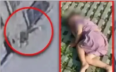 طفل صيني ينجو من السقوط من
