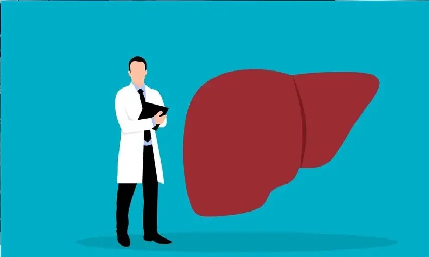 الخمر والمواد الكيميائية الدائمة مزيج قاتل