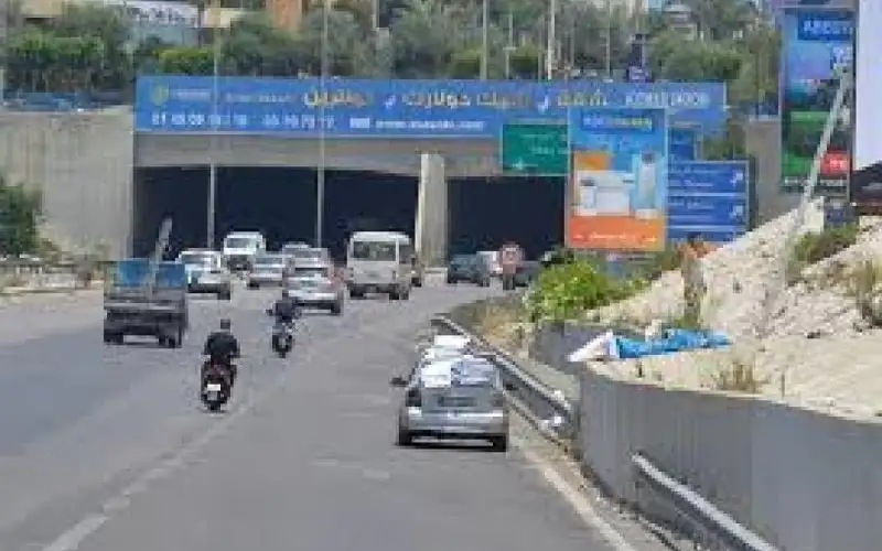 الحكومة اللبنانية تلغي اسم حافظ الأسد