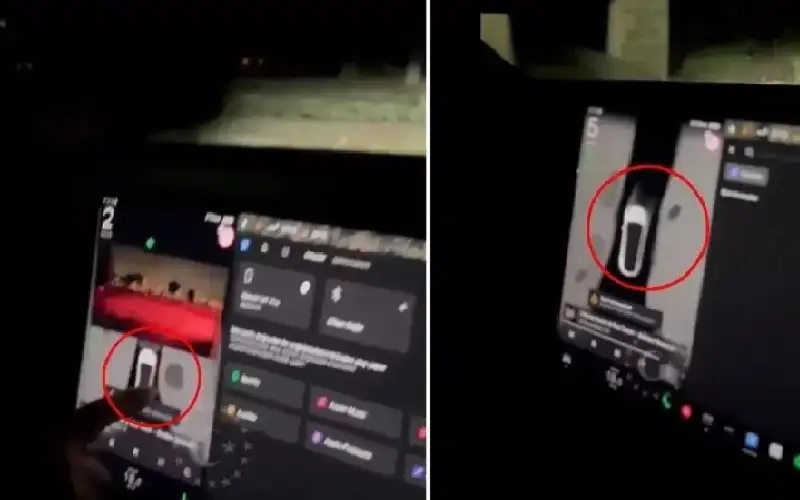 سائق سيارة تسلا يصاب بالهلع بعد