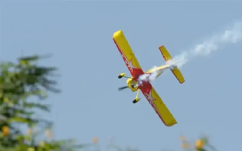 تحطم طائرة استطلاع في الجزائر يودي