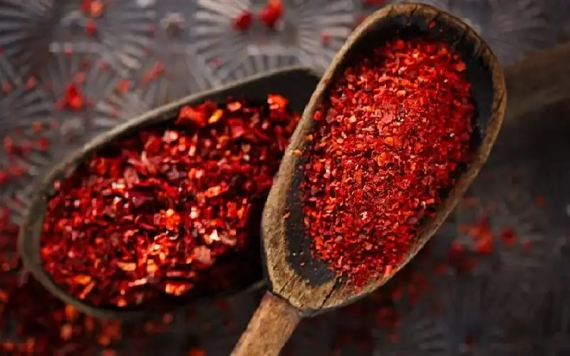 خطة سامة.. أم تجبر أطفالها على