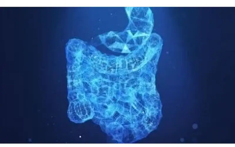 الحاسة السادسة في معدتك .. العلماء