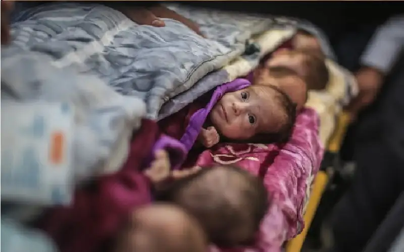 في غزة المجوعة.. حوامل يواجهن المخاطر