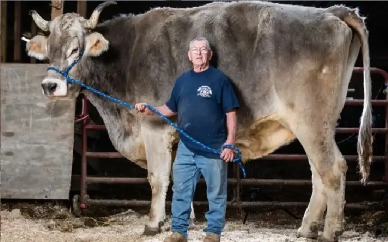 من فأر بطول 56 سم إلى