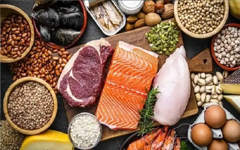 عن تجويع غزة.. ما مقدار البروتين