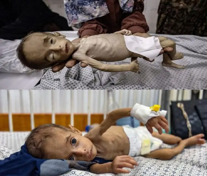 عن حقوق الطفل والمرأة.. ولد هذا