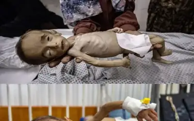 عن حقوق الطفل والمرأة.. ولد هذا