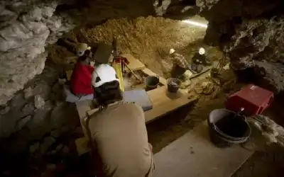 فريق علمي يكشف أسرار واقعة أكل
