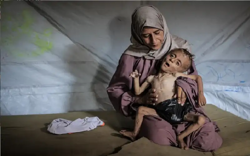 التجويع يضرب غزة ومحاولات الاحتلال إعلان