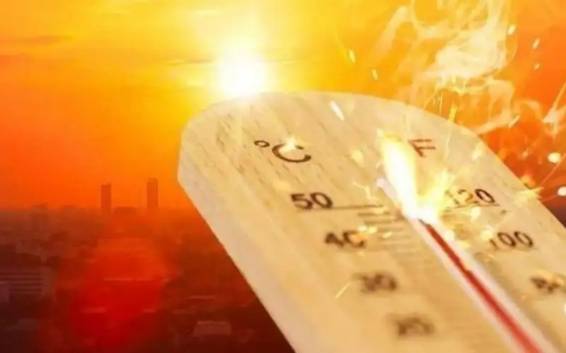 مصدر يوضح حقيقة تعطيل الدوائر الحكومية