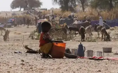 الفاشر السودانية .. 63 وفاة بسبب