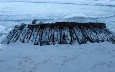 طفل يكتشف سفينة نادرة عمرها 275
