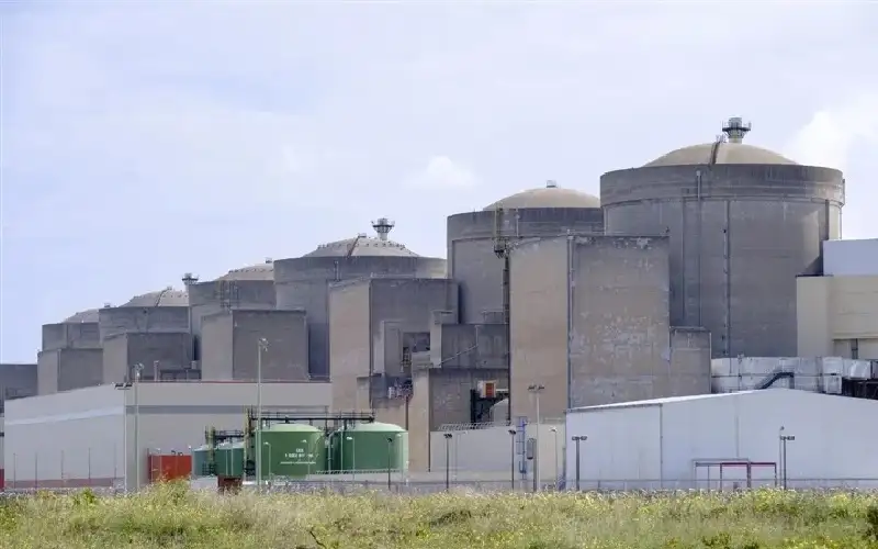 قناديل البحر تشل حركة أكبر محطة