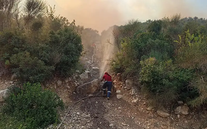 فرق الإطفاء السورية تكافح حريقا حراجيا