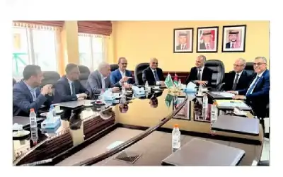 الجيش المصري: مقتل طاقم طائرة تدريب