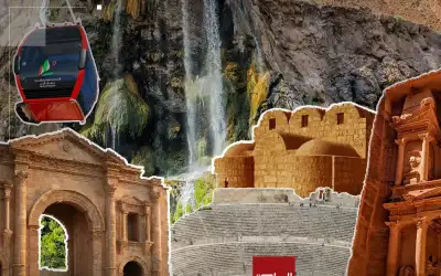 7 أعشاب تساهم في علاج الصداع