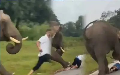 برقت عيناي دمعا عليك ـ بقلم: