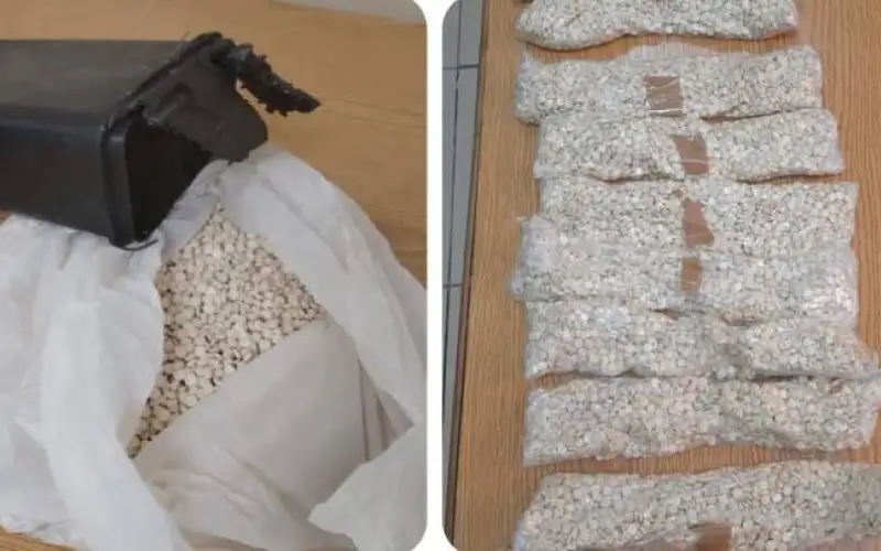 مكافحة المخدرات تحبط تهريب مواد مخدرة