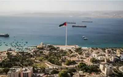 أسراب بعوض أخضر تجتاح شوارع تركيا