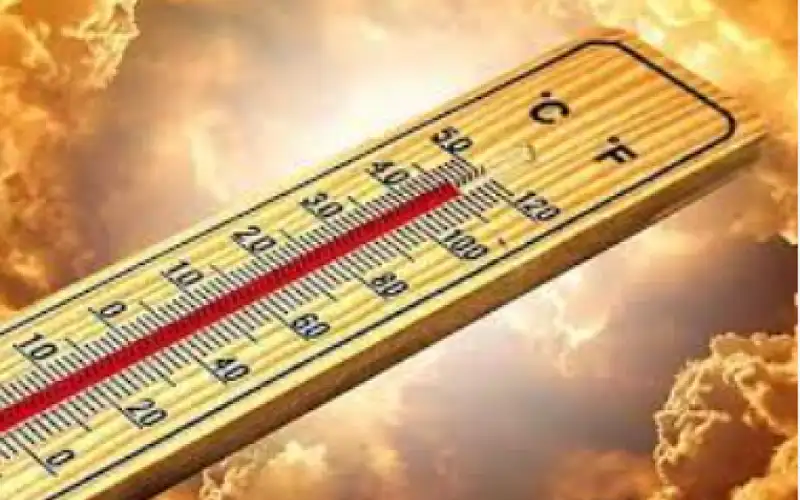 تعرف إلى المناطق التي سجلت أعلى